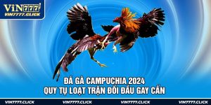 Đá Gà Campuchia 2024 - Quy Tụ Loạt Trận Đối Đầu Gay Cấn 