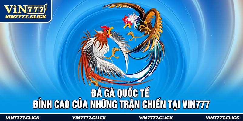 Đá Gà Quốc Tế - Đỉnh Cao Của Những Trận Chiến Tại Vin777